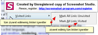 Measureıt, Webdeveloper Anlatım