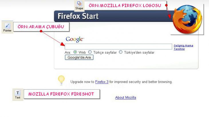Fireshot Kullanımı