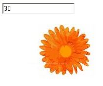 X Ekseni girilen bir nesnenin ekranda kayması