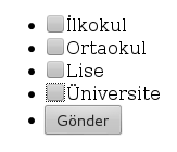 INPUT Tagı Nasıl Kullanılır?